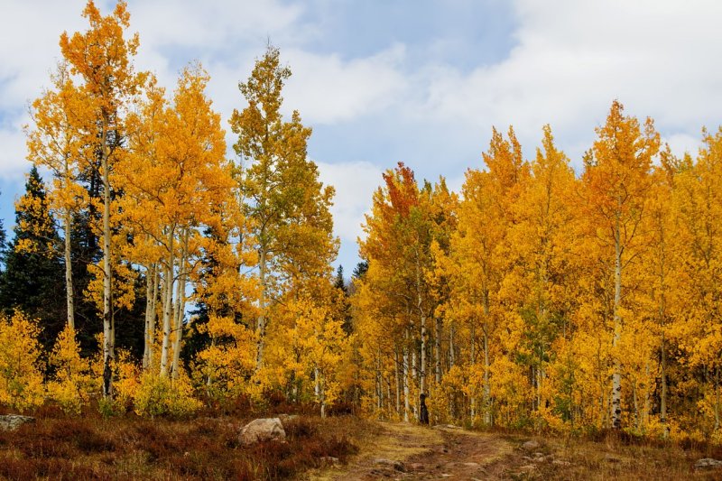  Grand Mesa 