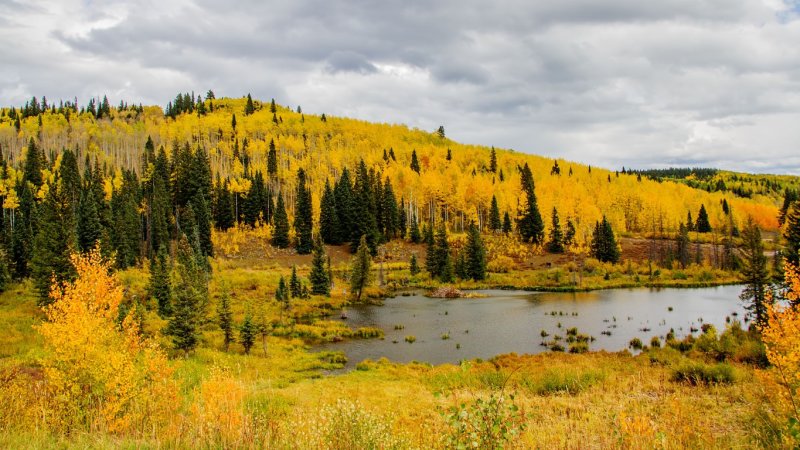  Grand Mesa 