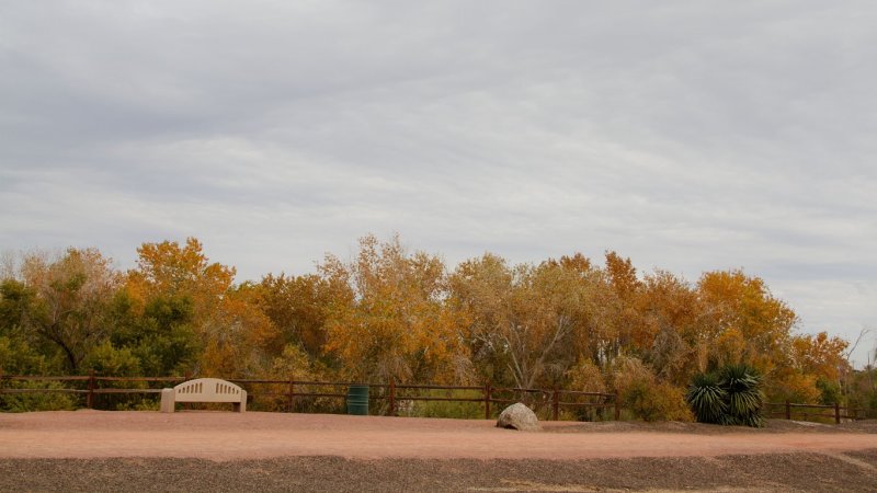  Yuma Wetland Park