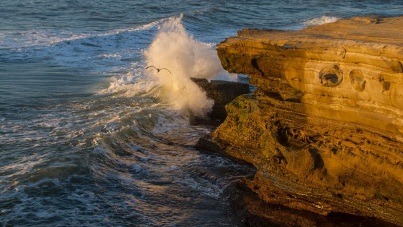  Sunset Cliffs Park 