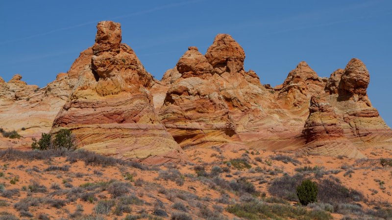 Cottonwood Cove