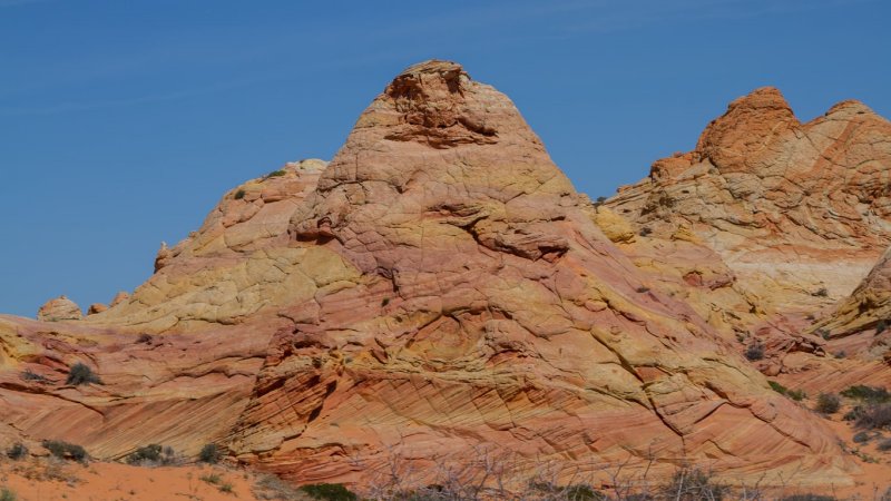 Cottonwood Cove