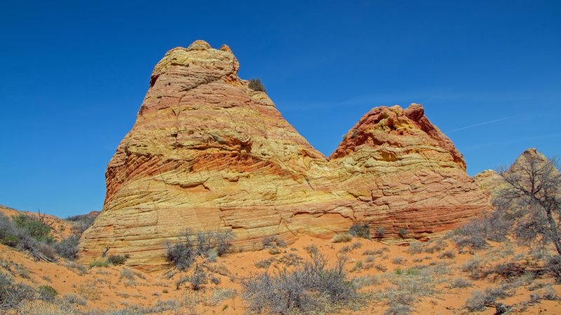 Cottonwood Cove