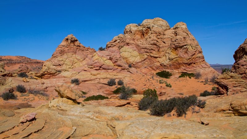 Cottonwood Cove