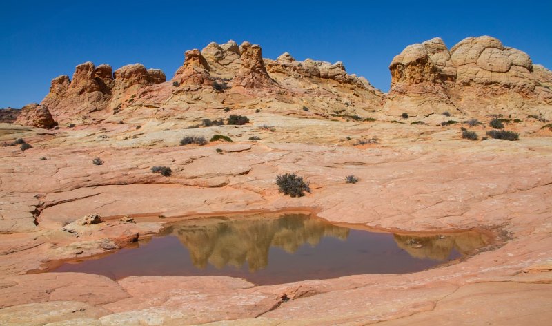 Cottonwood Cove
