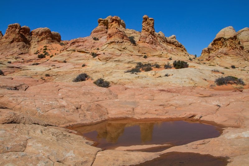 Cottonwood Cove