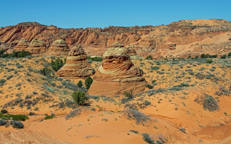 Cottonwood Cove