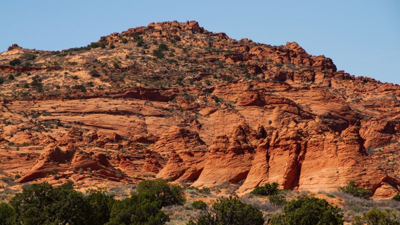 Cottonwood Cove