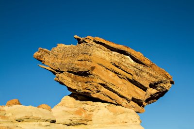 Stud Horse Point