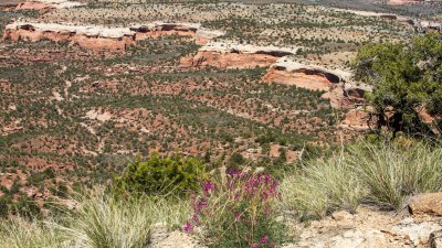  Rattlesnake Canyon 
