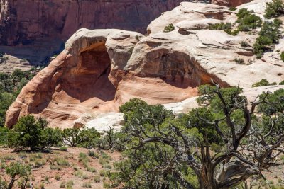  Rattlesnake Canyon