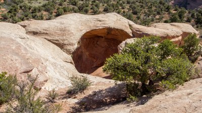  Rattlesnake Canyon 