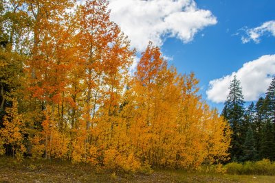  Grand Mesa 