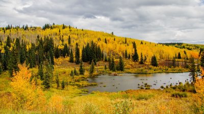  Grand Mesa 