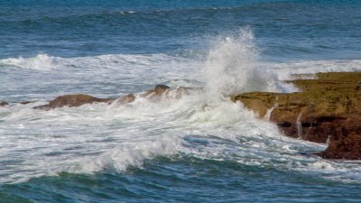  Sunset Cliffs Park 