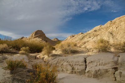  Anza-Borrego Desert 