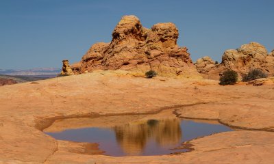 Cottonwood Cove