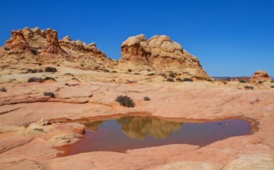 Cottonwood Cove
