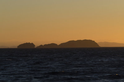 Motukahua Island at sunset