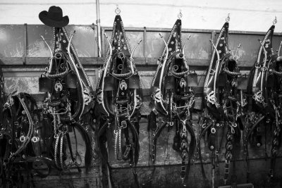 draft horse harnesses