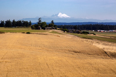 mt baker