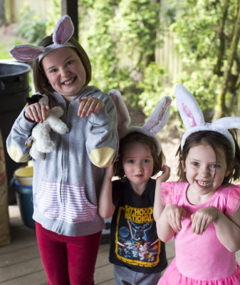 Three bunny cousins