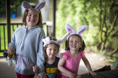 Three bunny cousins