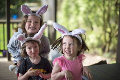 Three bunny cousins