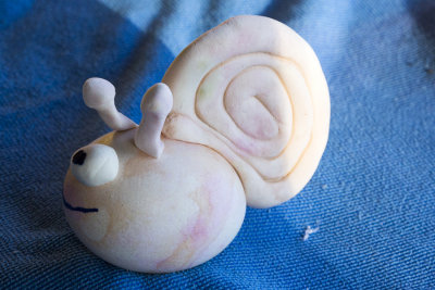 snail egg