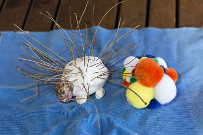porcupine and fuzz egg