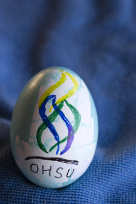 OHSU egg