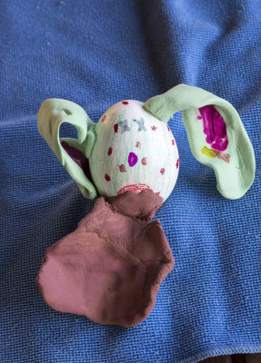 measles bunny egg