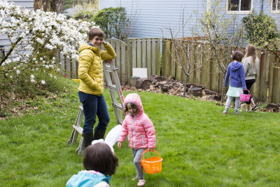 Egg hunting scene