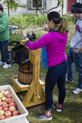 Ye old Peterschmidt apple press