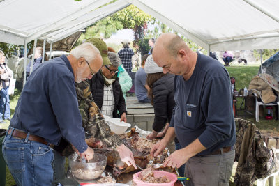 Porcine dissection