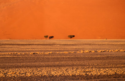 NAMIBIA SCAPES