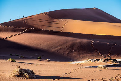 Climbers on the Dunes 