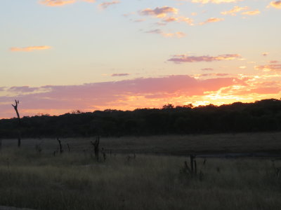 Day 4 Hwange - Painted Dog Conservation 6/29/2017
