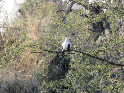 IMG_1677.JPG