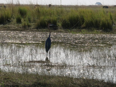 IMG_2073.JPG