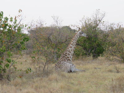 IMG_2177.JPG