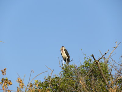 IMG_2216.JPG