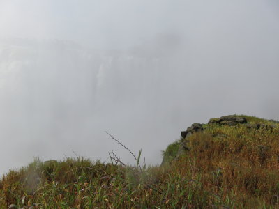 IMG_2279.JPG