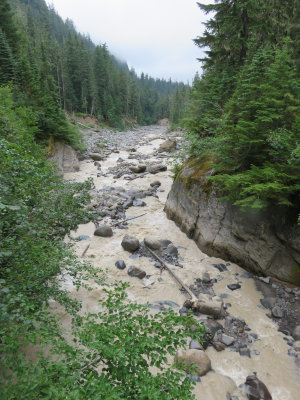 IMG_2523.JPG