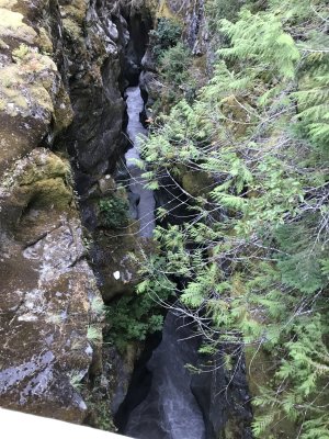 Day 8 Summerland to Maple Creek
