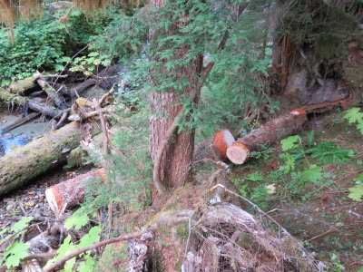 IMG_2735.JPG