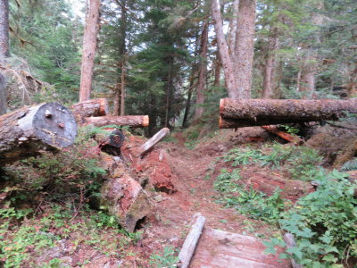 Day 2 Downey Creek Trail Logout 9/23/2017