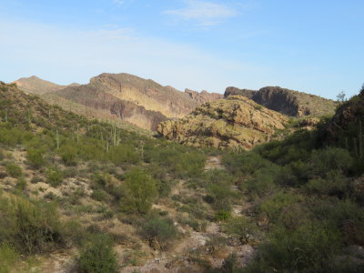 IMG_2821.JPG