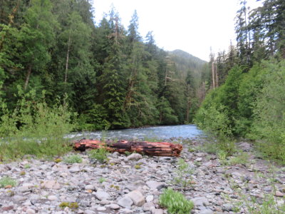 IMG_3499.JPG