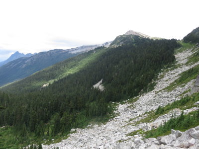 IMG_3511.JPG
